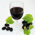 Doenças e desequilíbrios dos vinhos